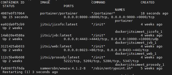 docker ps docker ps