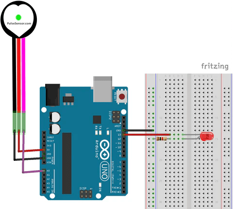 Collegamenti da effettuare. Noi useremo come led quello già integrato sul pin 13. (Misurare il battito cardiaco con Arduino)